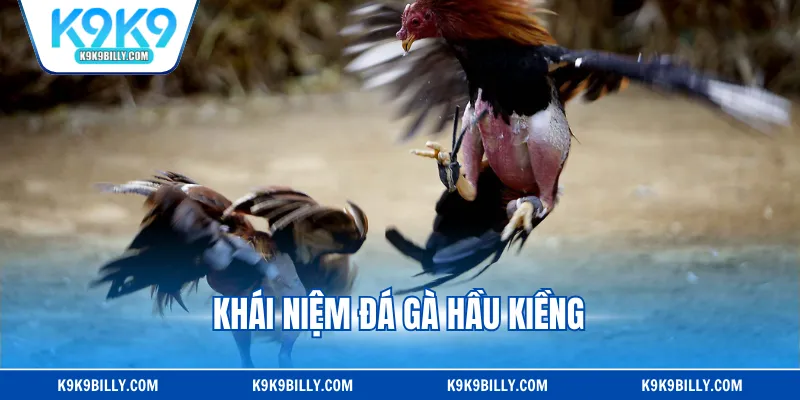 Khái niệm đá gà hầu kiềng