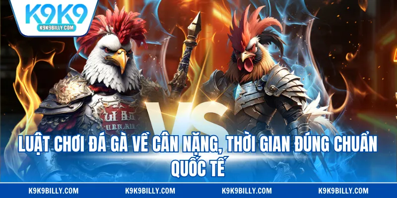 Luật chơi đá gà về cân nặng, thời gian đúng chuẩn quốc tế