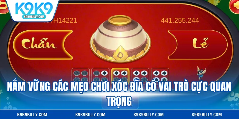 Nắm vững các mẹo chơi xóc đĩa có vai trò cực quan trọng