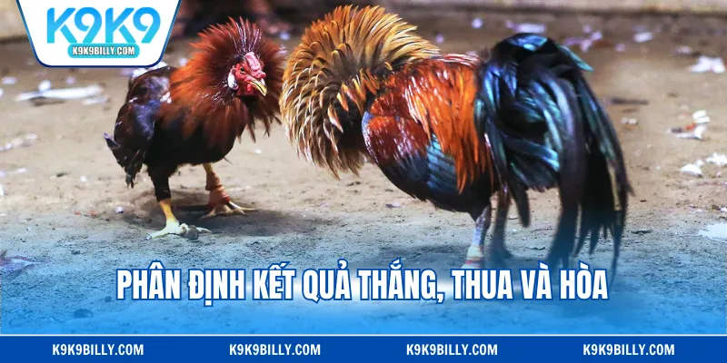 Phân định kết quả thắng, thua và hòa